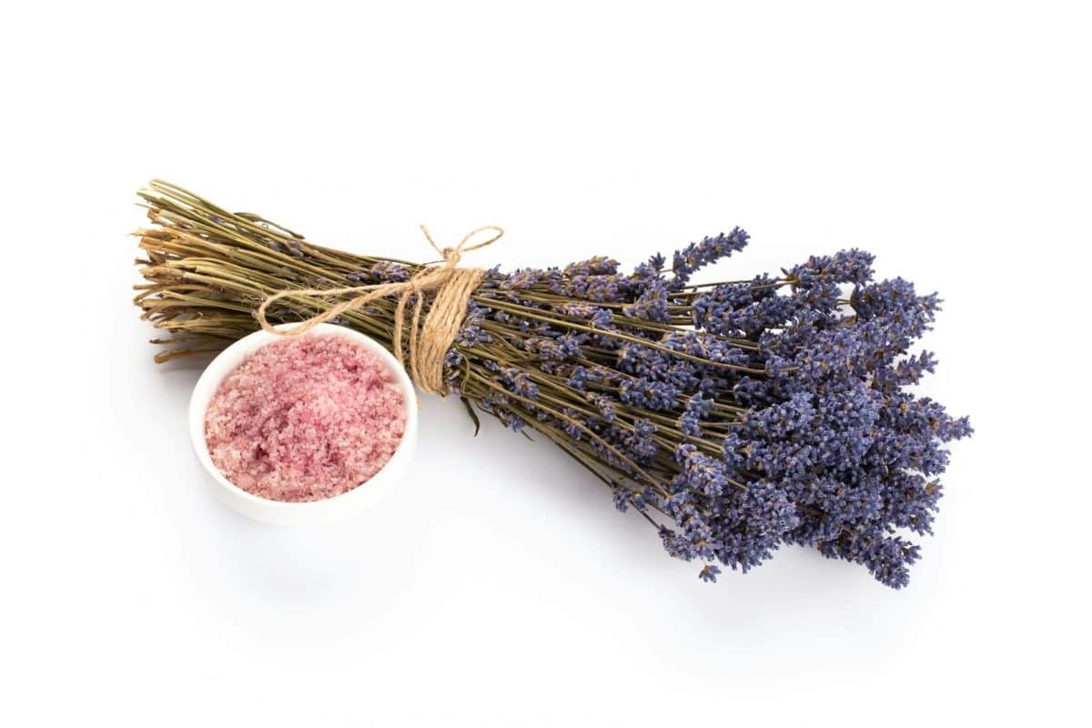 Potpourri profumato di lavanda e altre piante essiccate