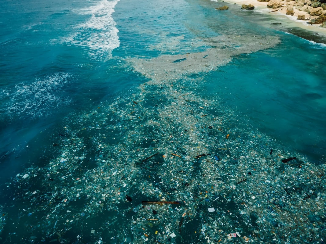 Le coste italiane stanno affrontando una sfida crescente nel 2024: la diffusione di mucillagini e alghe tossiche.