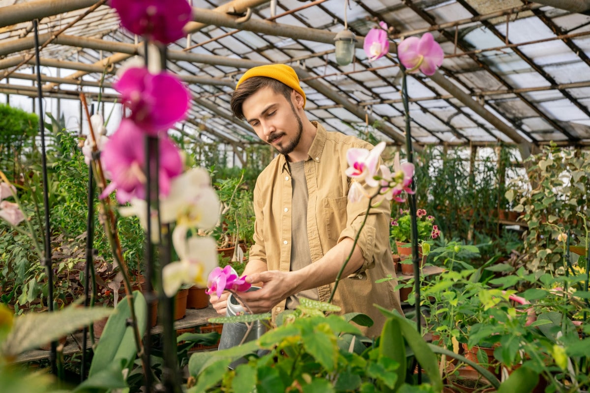 Scopri i metodi più efficaci per moltiplicare le tue orchidee e ottenere piante rigogliose e sane.